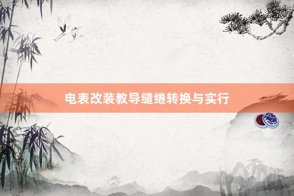 电表改装教导缱绻转换与实行