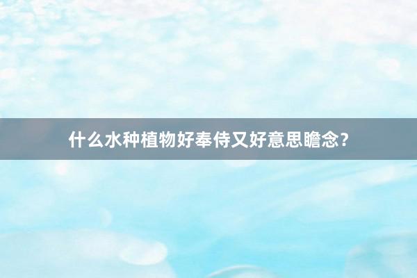 什么水种植物好奉侍又好意思瞻念？