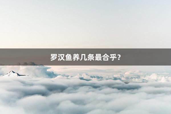 罗汉鱼养几条最合乎？