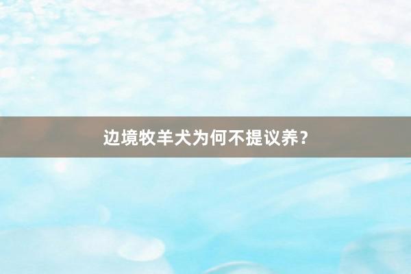 边境牧羊犬为何不提议养？